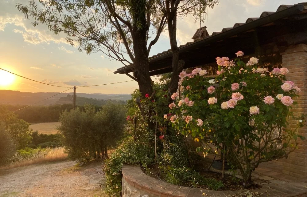Casa Coccinella – Two Bedroom House at Le case di Lisetta Holiday Homes
